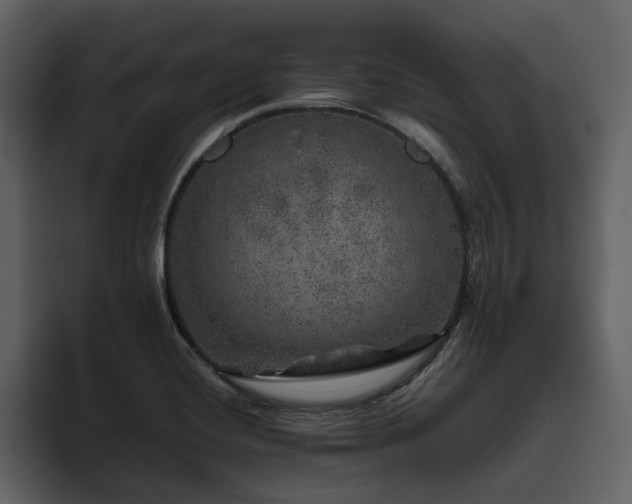 X0000095951420200801111341