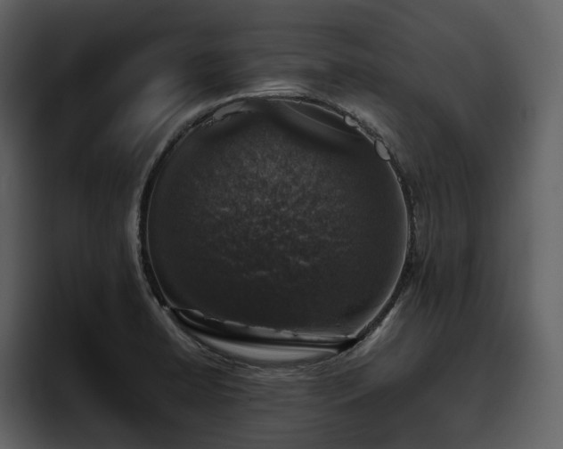 X0000095951422200801111341