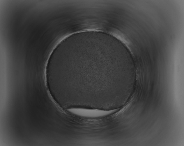 X0000095951423200801111341