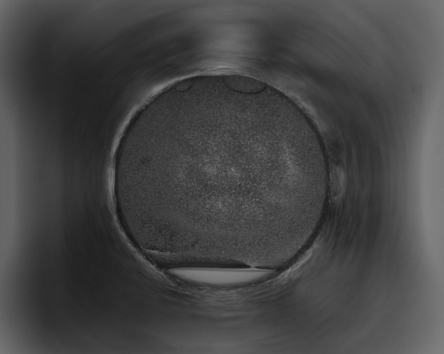 X0000095951424200801111341