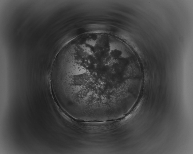 X0000095951425200801111341