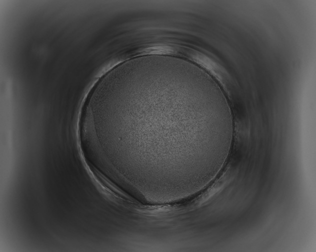X0000095951426200801111341
