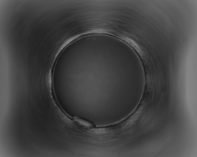 X0000095951428200801111341