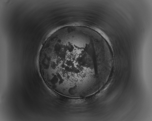 X0000095951429200801111341