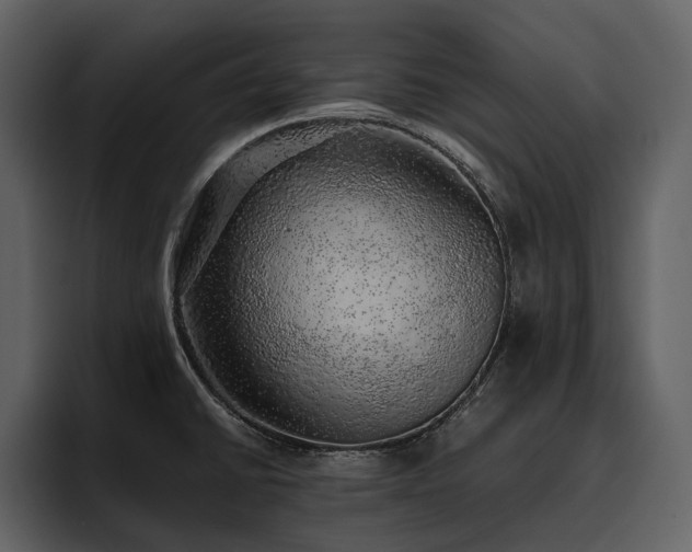 X0000095951430200801111341