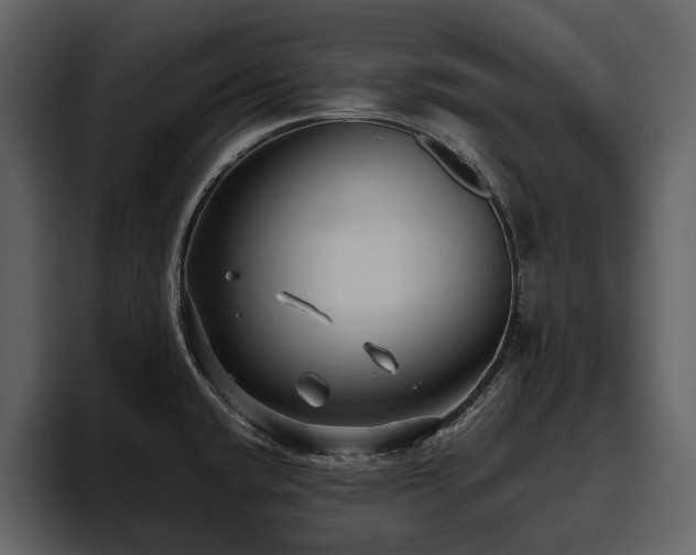 X0000095951432200801111341
