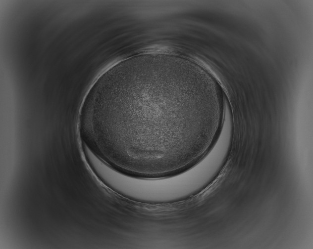 X0000095951434200801111341