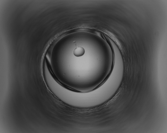X0000095951435200801111341