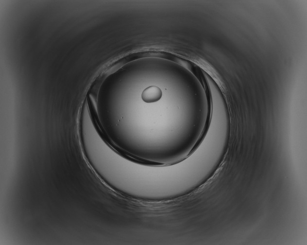 X0000095951436200801111341
