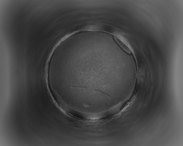 X0000095951437200801111341