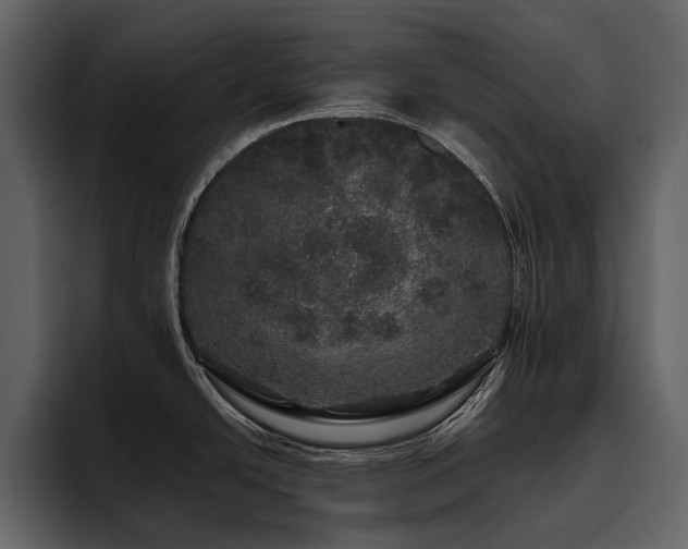 X0000095951438200801111341