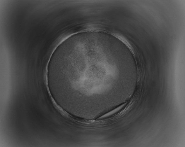 X0000095951439200801111341