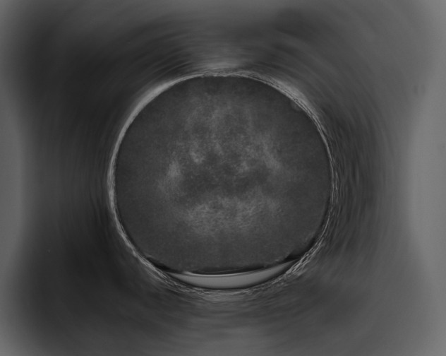 X0000095951440200801111341