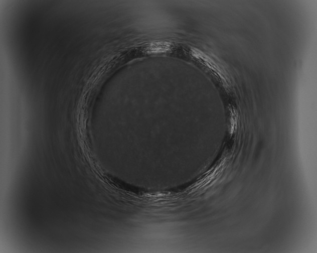 X0000095951441200801111340