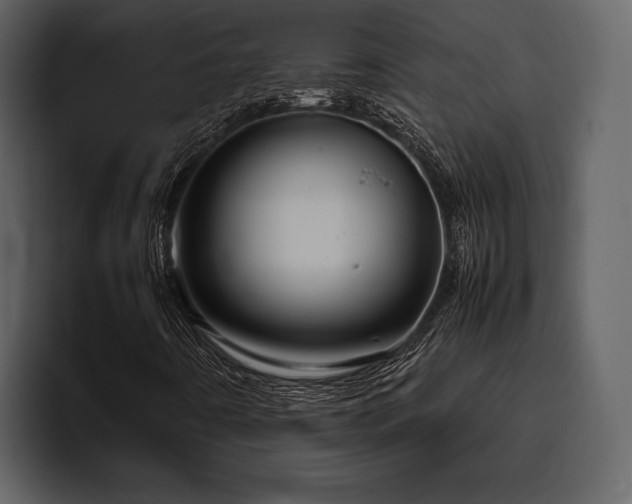 X0000095951442200801111340