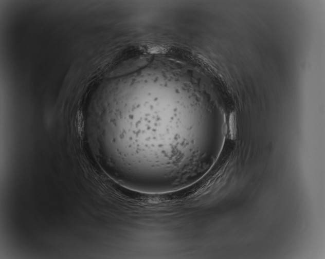 X0000095951443200801111340