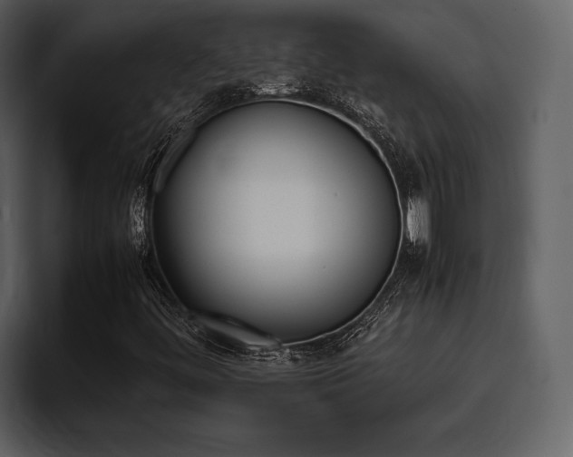 X0000095951444200801111340