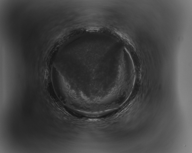 X0000095951445200801111340