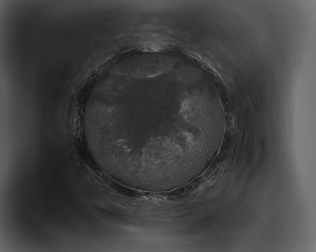 X0000095951446200801111340