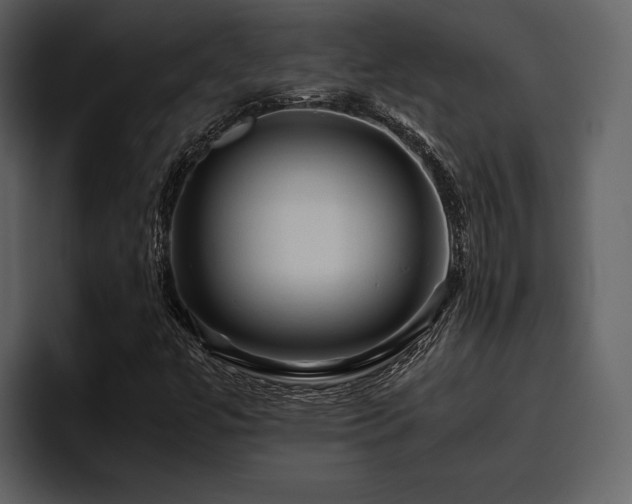 X0000095951447200801111340