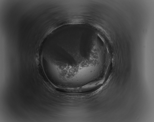 X0000095951449200801111340