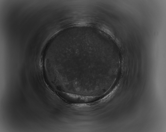 X0000095951450200801111340