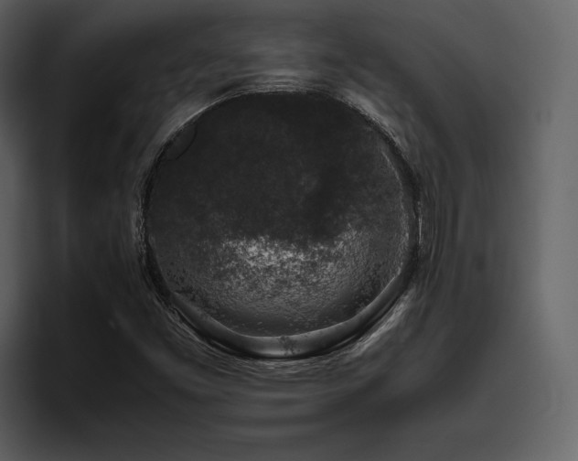 X0000095951453200801111340