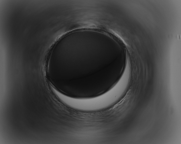 X0000095951455200801111340