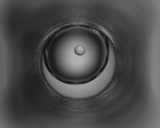 X0000095951456200801111340