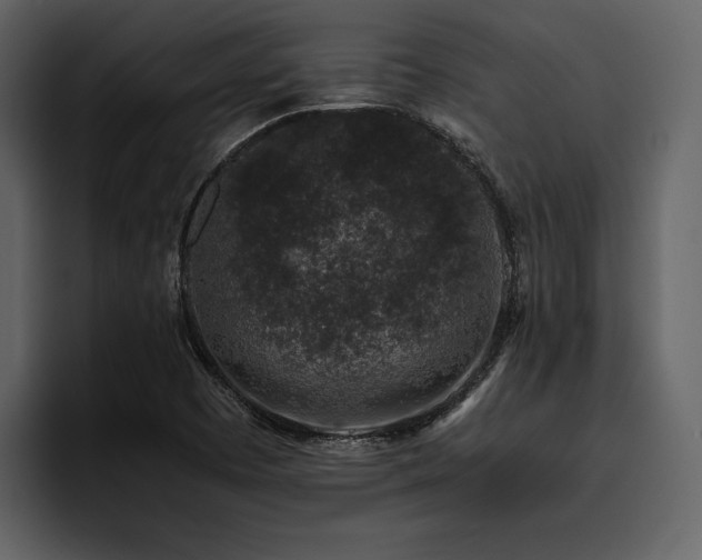 X0000095951457200801111340