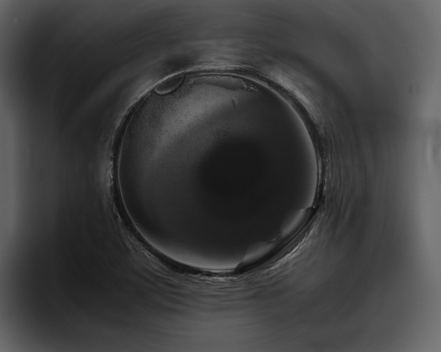 X0000095951459200801111340