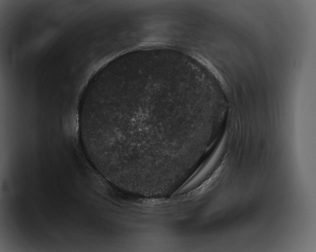 X0000095951461200801111340