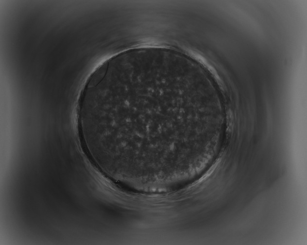 X0000095951463200801111340