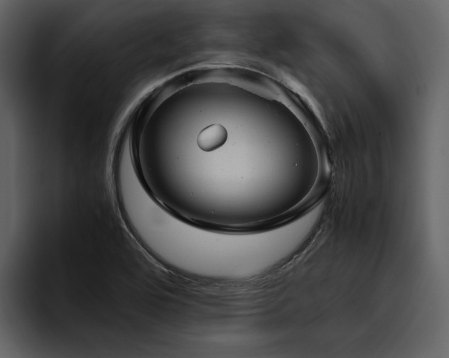 X0000095951464200801111340