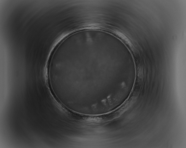 X0000095951466200801111340