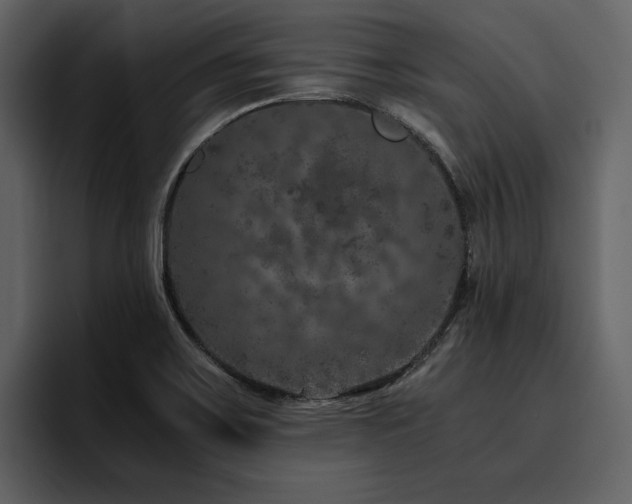 X0000095951467200801111340