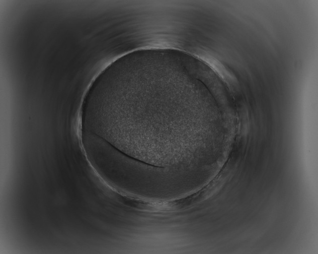 X0000095951468200801111340
