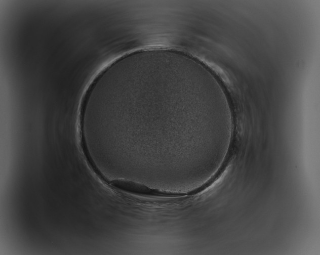 X0000095951469200801111340