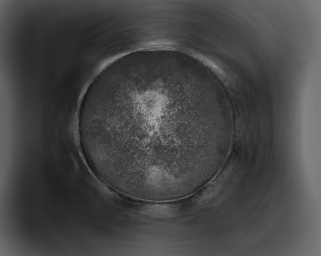 X0000095951470200801111340