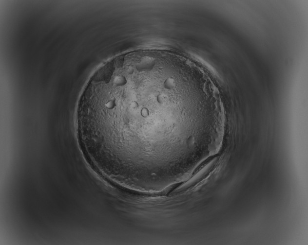 X0000095951471200801111340
