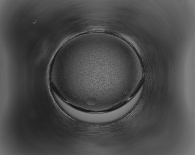 X0000095951475200801111340