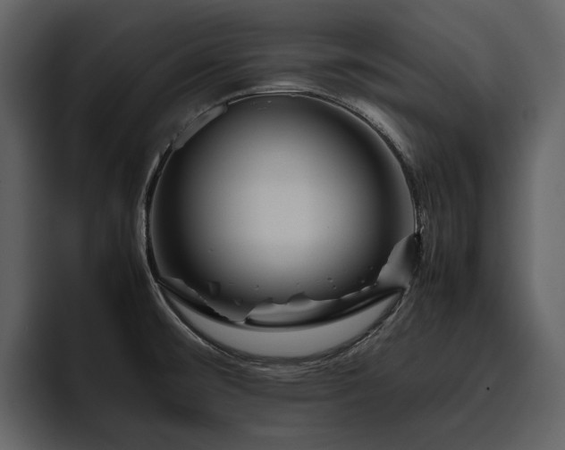 X0000095951476200801111340
