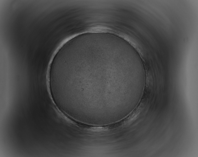 X0000095951478200801111340