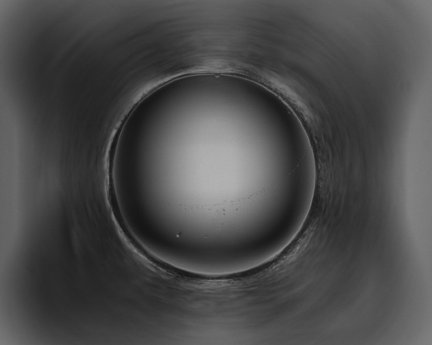 X0000095951479200801111340