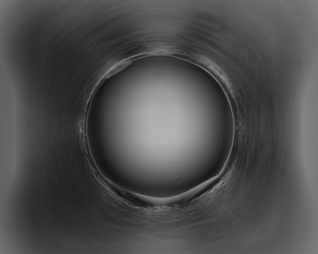 X0000095951481200801111340