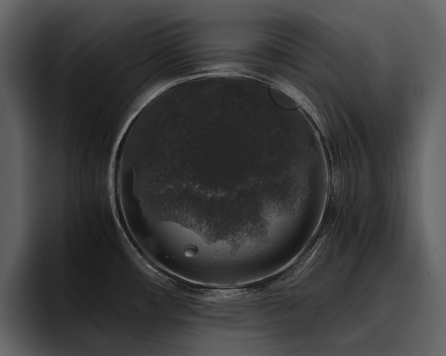 X0000095951482200801111340