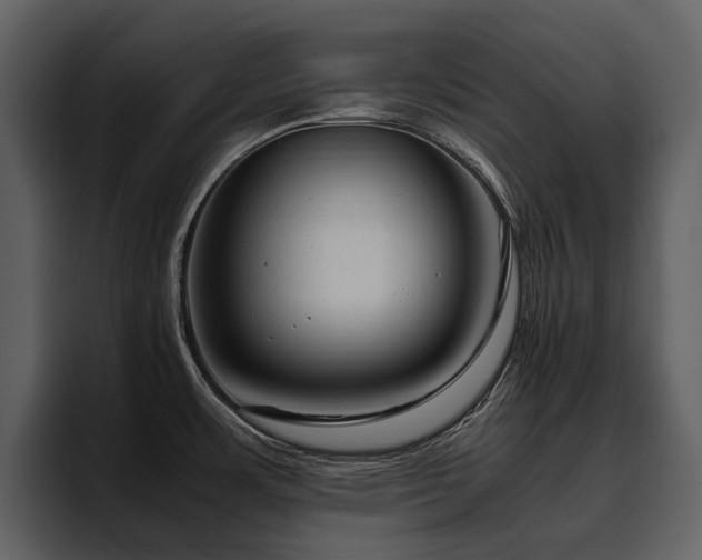 X0000095951483200801111340