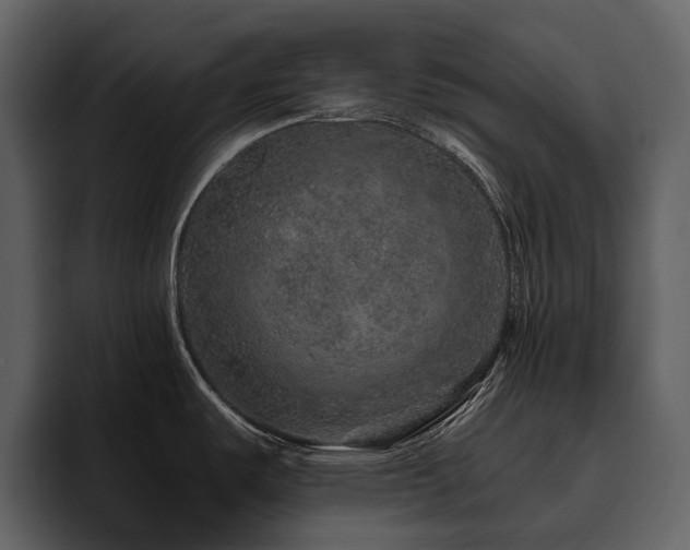 X0000095951487200801111340