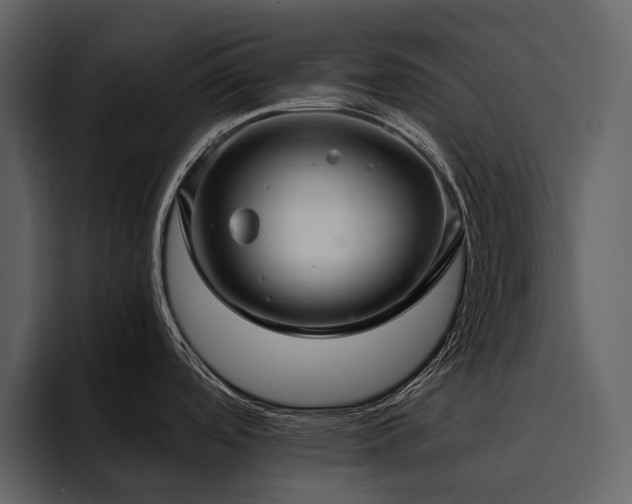 X0000095951488200801111340