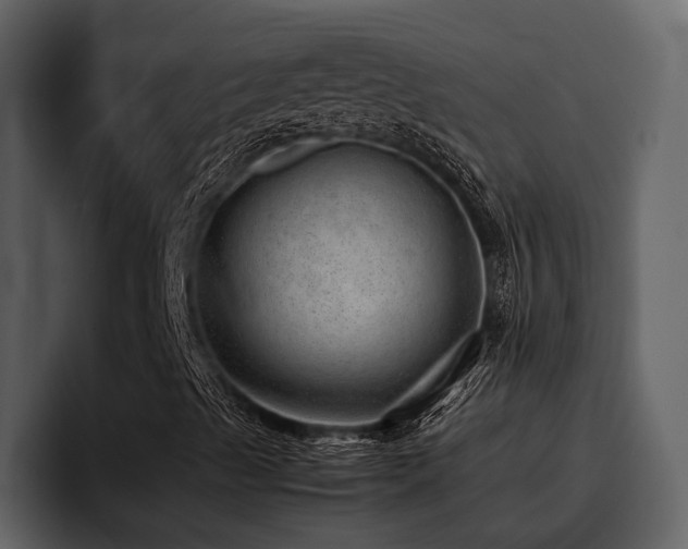 X0000095951489200801111339